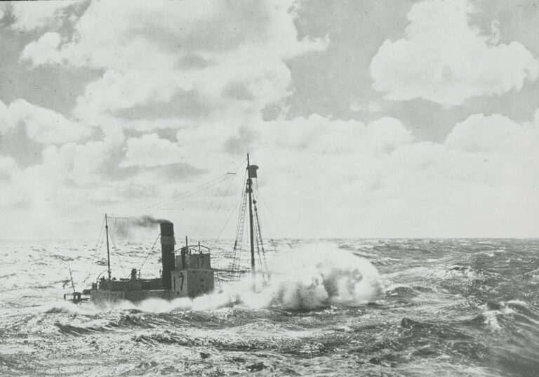 Mange titalls tusen nordmenn deltok i hvalfangsten i Sørishavet helt frem til jakten på den verdifulle hvaloljen og kjøttet tok slutt i 1968.Blant de som reiste var også minst 80 eidskoginger.