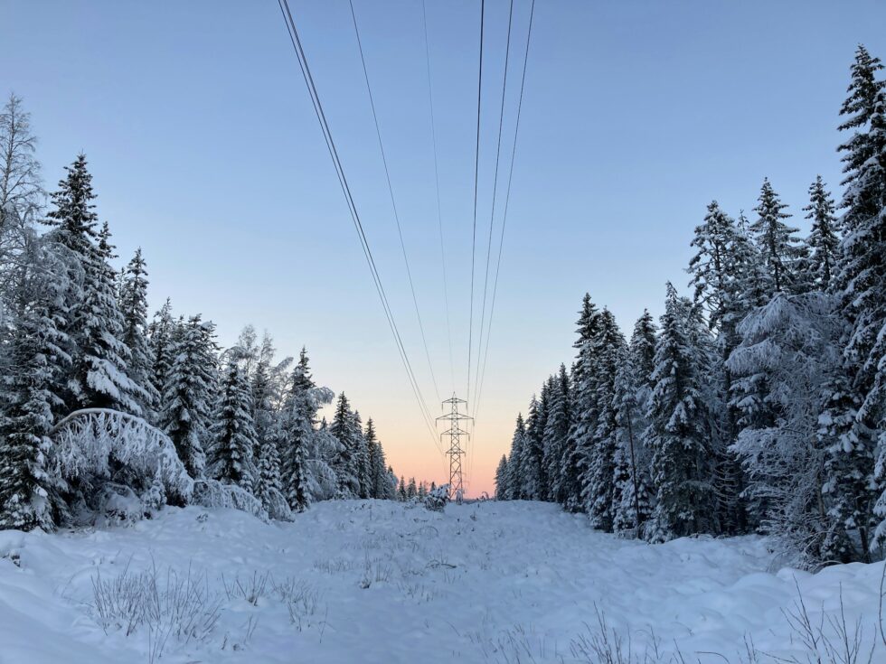 Den langvarig kuldeperioden gir skyhøye strømpriser. Tirsdag er prisen i Eidskog den dyreste på ett år.
