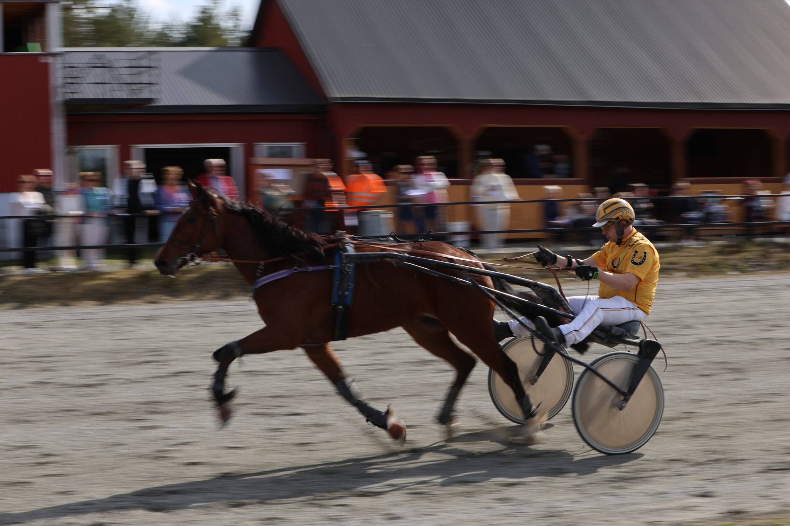 Kenneth Brenden hadde en god dag på hjemmebane under 1. mai travet på Magnor i fjor. Han er en av tre eidskoginger som stiller til start også i år.