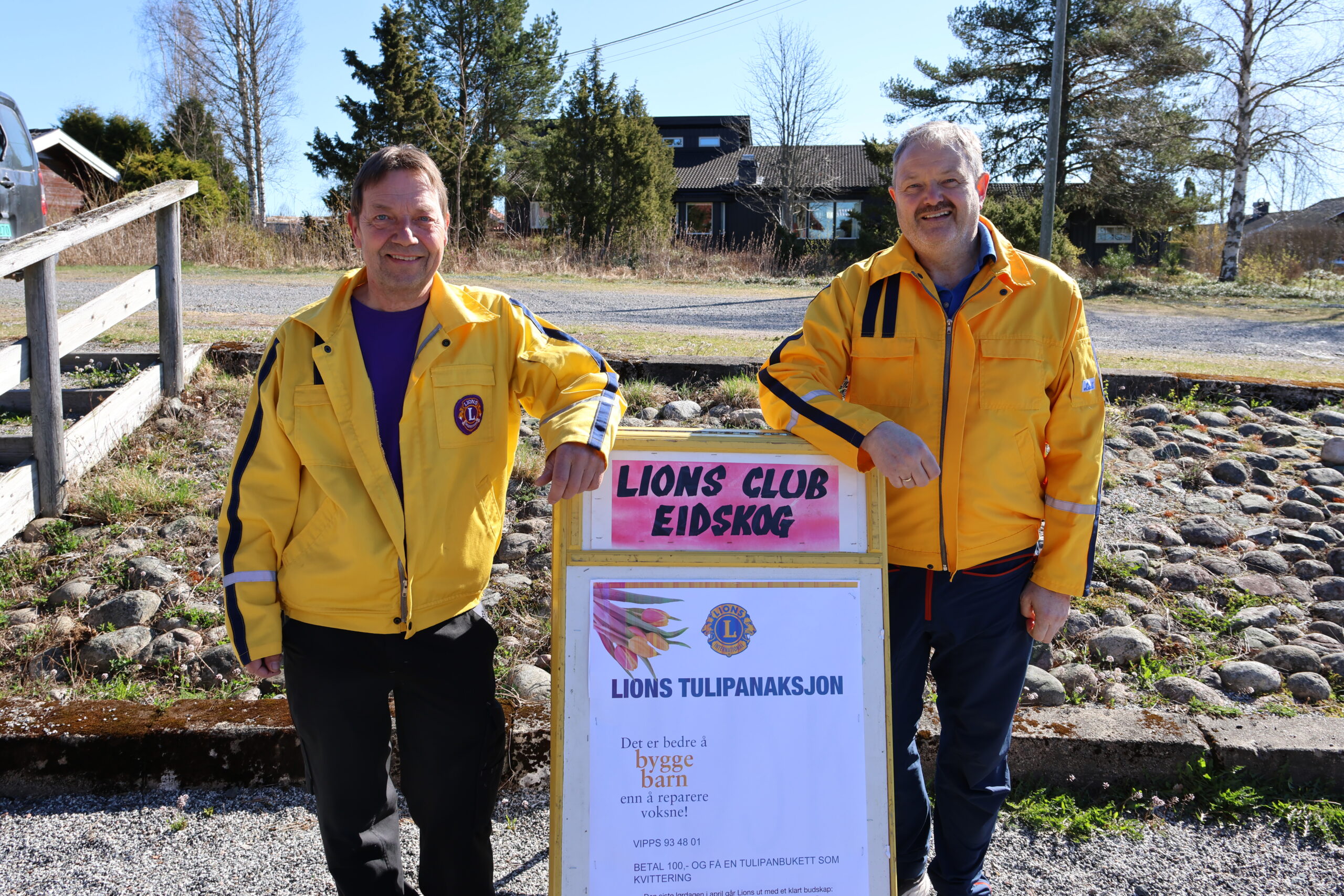 Cato Amundsen (t.v.) og Per Stenslet har hatt hovedansvaret for årets tulipanaksjon i Lions Club Eidskog.