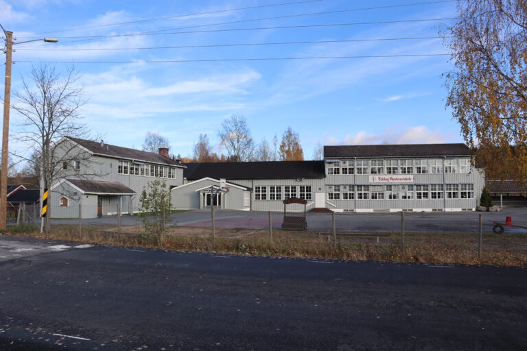 Eidskog Montessoriskole inviterer til aktivitetsdag.