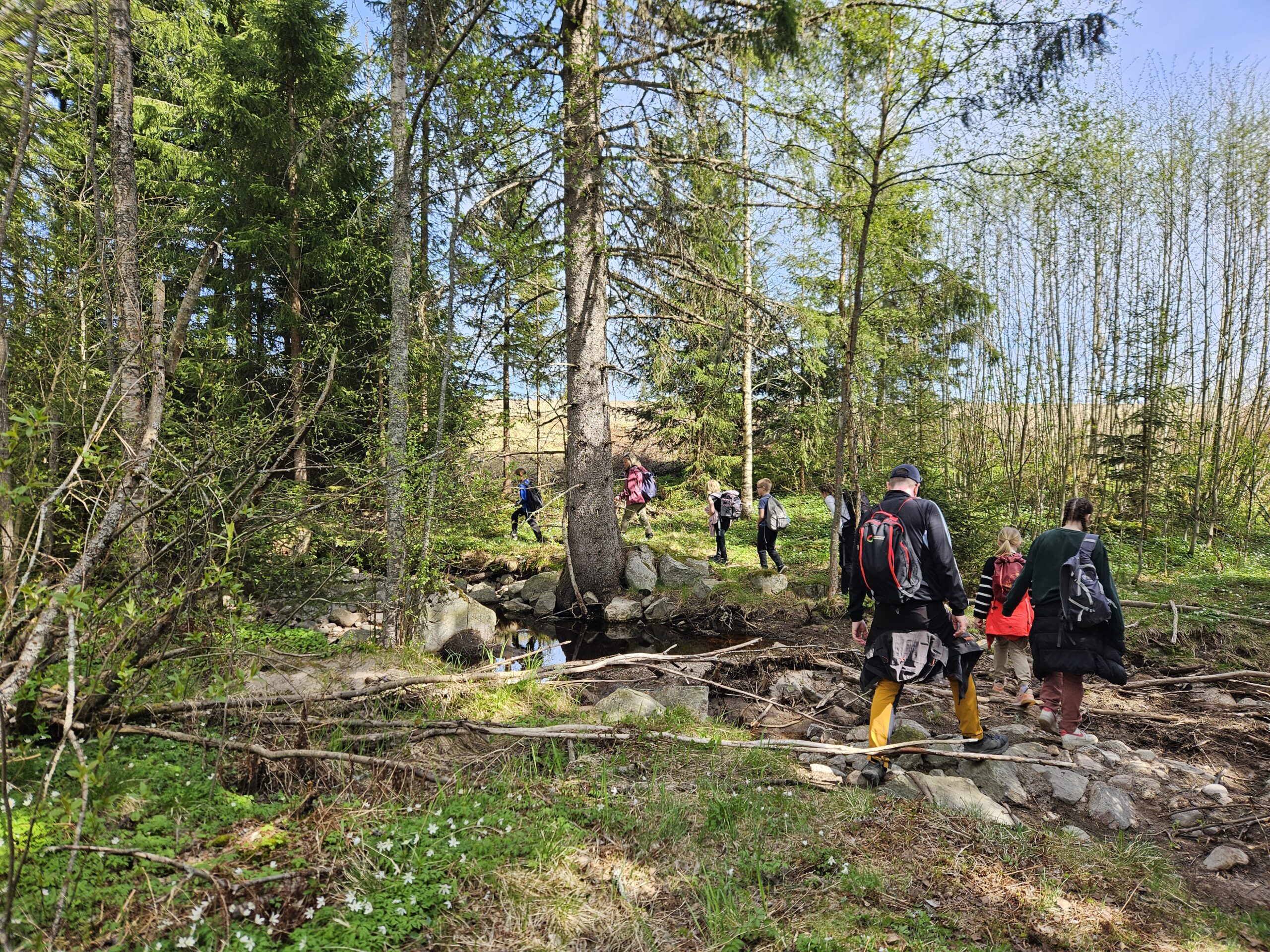 4.klasse på pilegrimsvandring gjennom skogen i strålende sol.