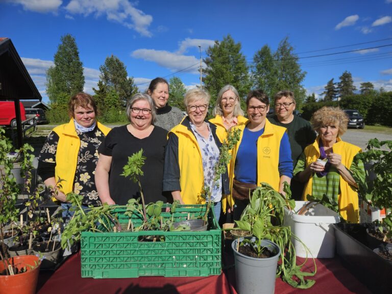 Bygdekvinnelaget står klare med plantene som ble auksjonert bort på onsdagens blomsterdag Fra venstre: Ingegierd Pramm Platek, Heidi Kolstad, May Britt Sørpebøl, Marianne Rundgren, Lena Kallander, Desiree Nordseth, Anita Kapstad og Eirin Østby. .