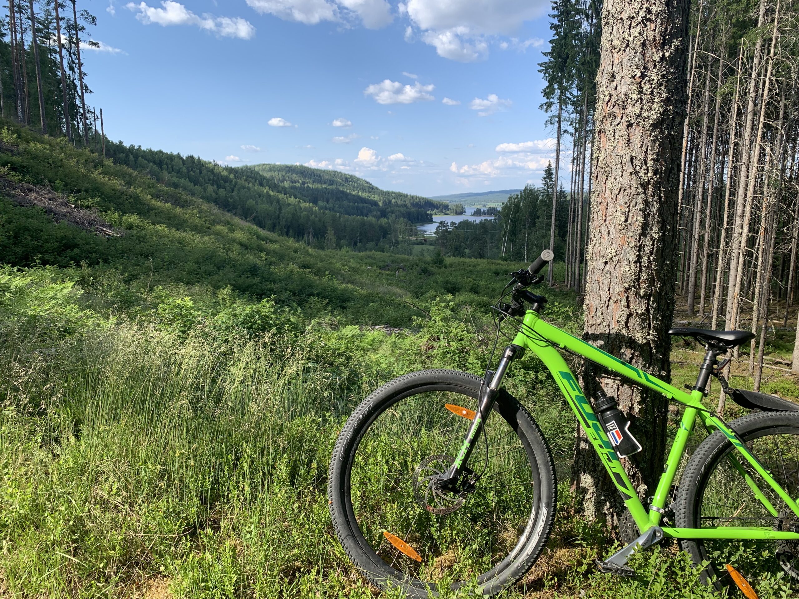 Gjennom Lierskogen får man fin utsikt over Vingersjøen.