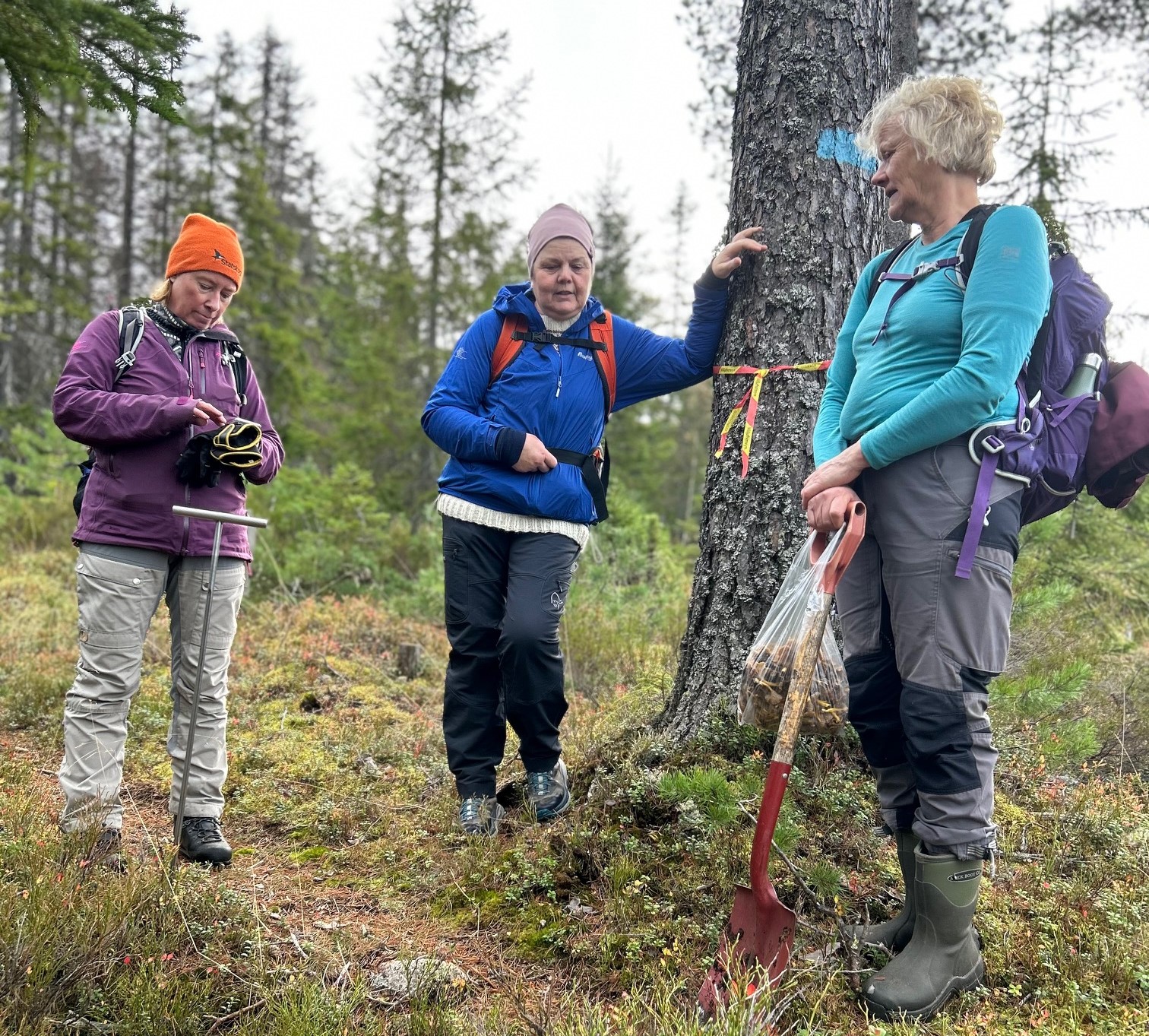 Fylkesarkeolog Tina Amundsen, Britt Ingelsrud og Anga Sæthern på befaring med tjæregrava, hvor de fant både tyristikker og kull.
