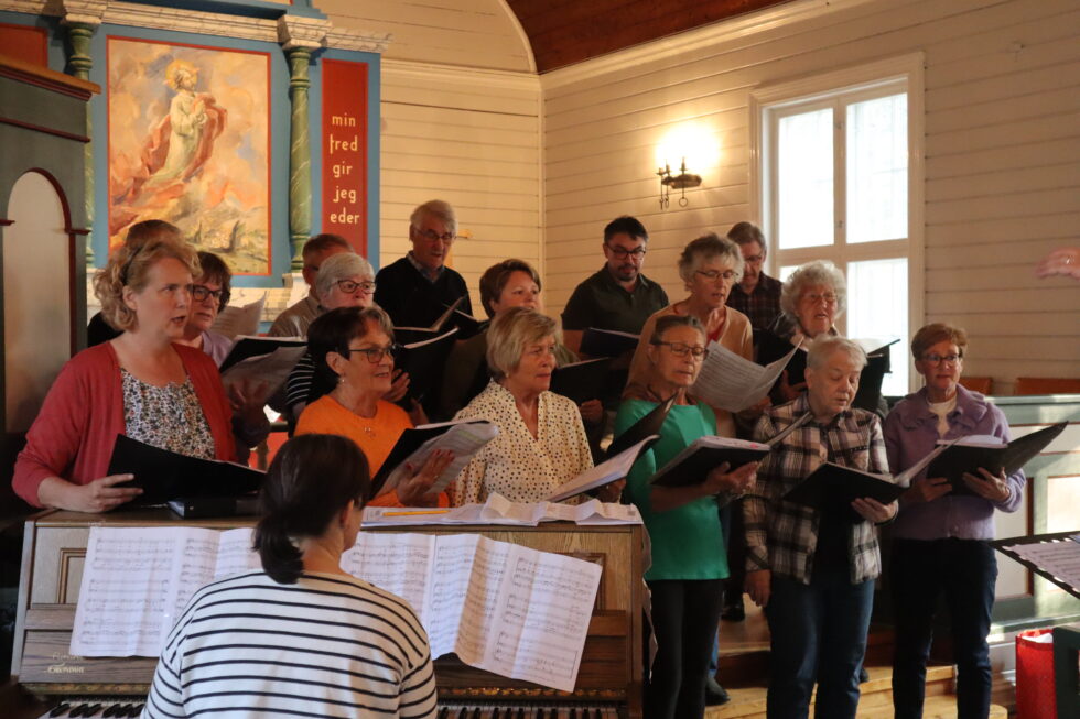 Eidskog Vocalis inviterer til gratis vårkonsert i Magnor kirke lørdag 23.mai klokka 18.