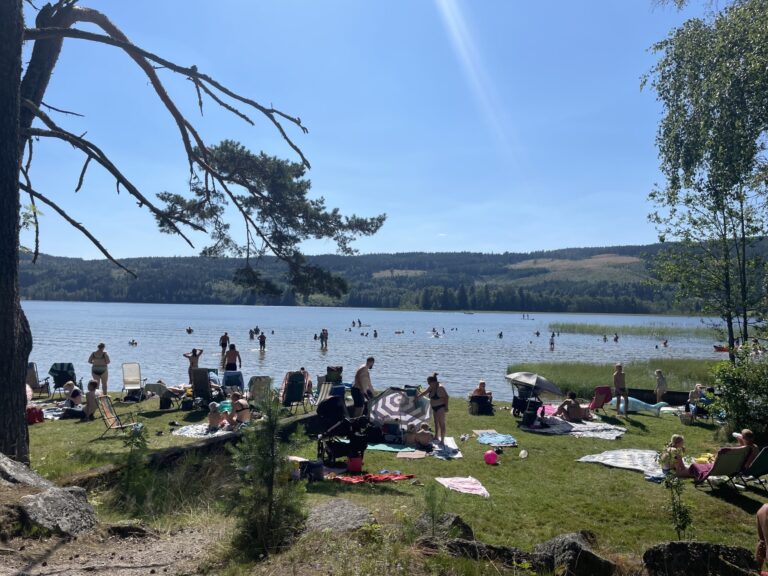 Folk nøt det varme været på de lokale badeplassene i juli. Her fra en varm sommerdag ved Sigernessjøen.